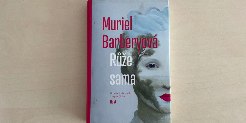 Obrázok položky I'm donating for the ride.